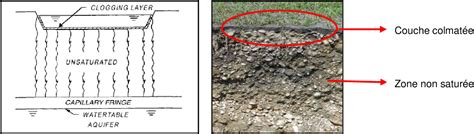 Pdf Colmatage Et R Tention Des L Ments Traces M Talliques Dans Les