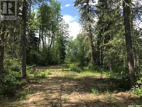 Secluded Boreal Forest Camping Hipcamp In La Ronge Saskatchewan