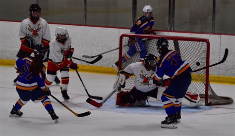 Peconic Hockey Foundation pitches plan to build ice hockey rink at ...