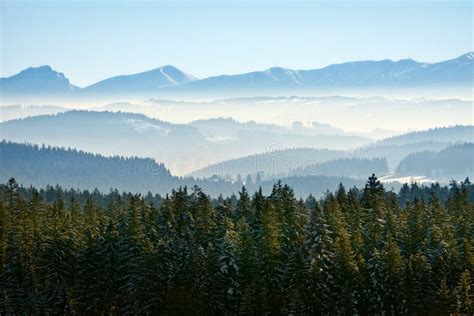 Paisagem Sunshiny Calma Da Montanha Do Inverno As árvores E Os