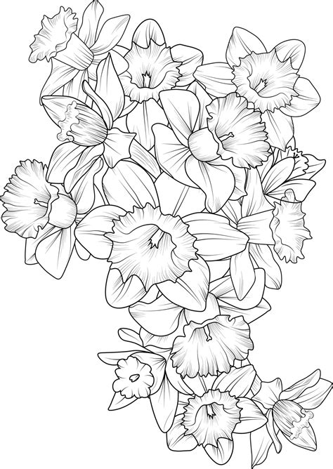 Set Of A Decorative Stylized Daffodil Flower Isolated On White