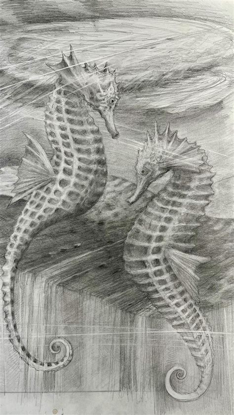 sea horse drawing 2