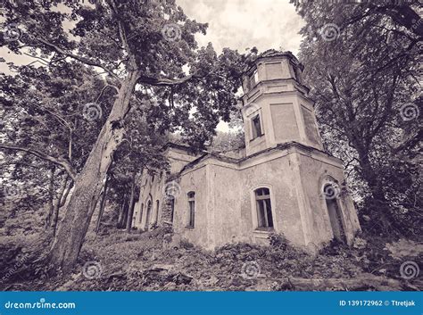 Old Church Ruins In The Forest Stock Photo Image Of Historical