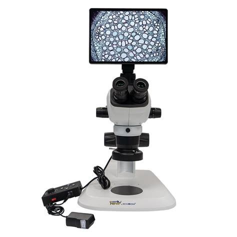 Microscope