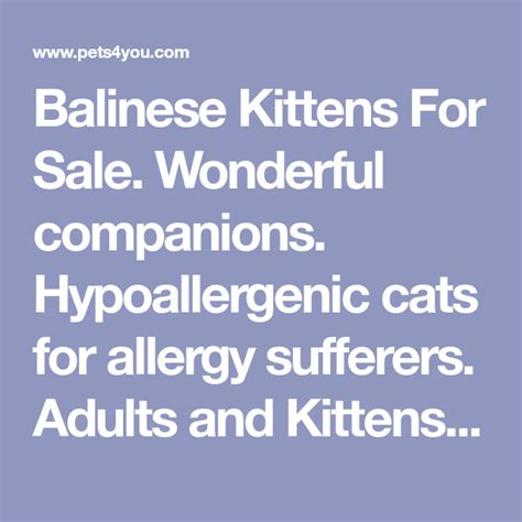 Balinese Kittens For Sale. Wonderful companions. Hypoallergenic cats ...