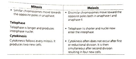 Difference Between Mitosis And Meiosis