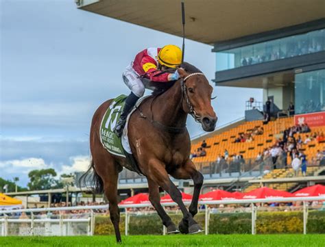 Another Rich Prize For Too Darn Hot Filly Arabian Summer Breednet