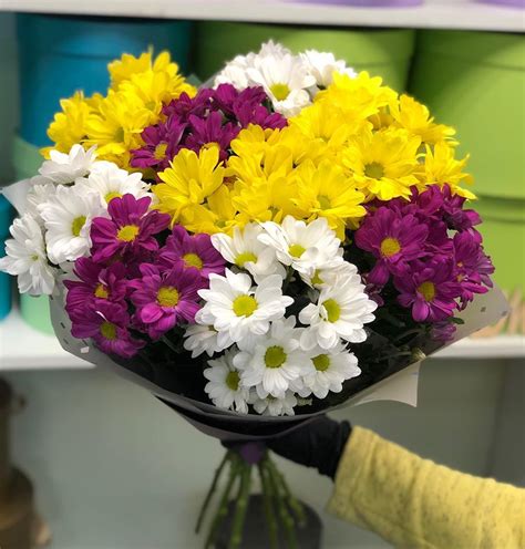 Букет из девяти хризантем в красивой упаковке – Радуга Цветов ...