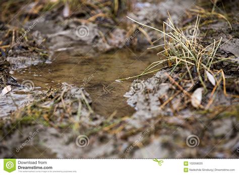 dirt autumn mud puddles dirty ground stock photo image  dirty