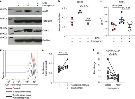 Losmapimod Restores T Cell Function By Inhibiting Monocyte Cox2 And Download Scientific Diagram