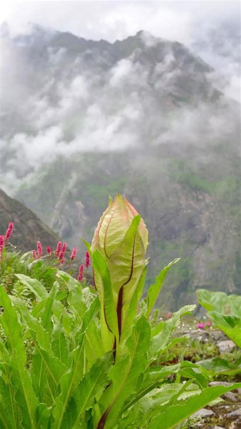 10 Top Indian Destinations To Visit In July