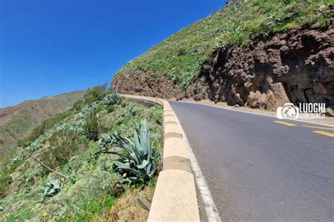 Cosa Vedere A Masca Tenerife GUIDA COMPLETA Luoghi Da Vedere