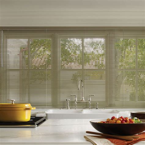 Install Gorgeous Aluminum Blinds for Your Home Today | The Blind Guy