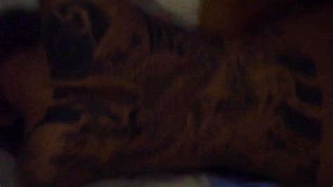 Watch แอบถาย ไทย แอยถาย ไทยหลด Porn SpankBang