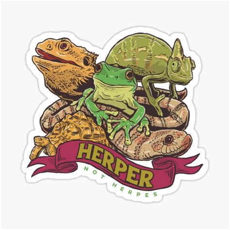 Herper Not Herpes Color Sticker For Sale By Inspireexotics Redbubble