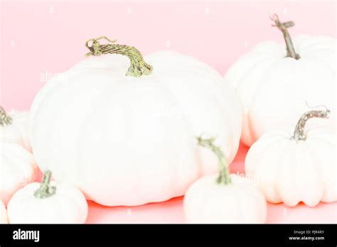 White craft pumpkins of different sizes on a pink background Stock ...