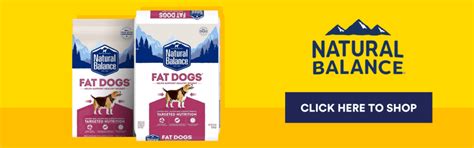 Pet Obesity A Growing Concern For Retailers