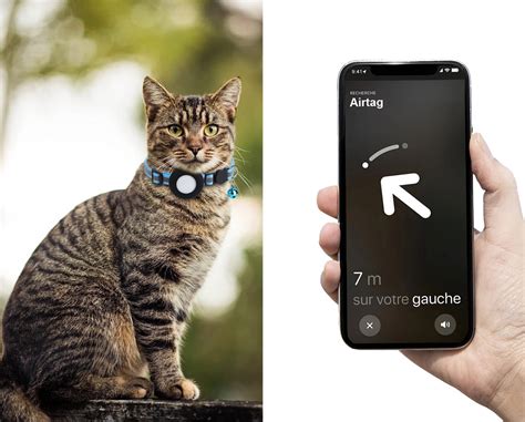 Apple AirTag pour chat : une alternative aux colliers GPS