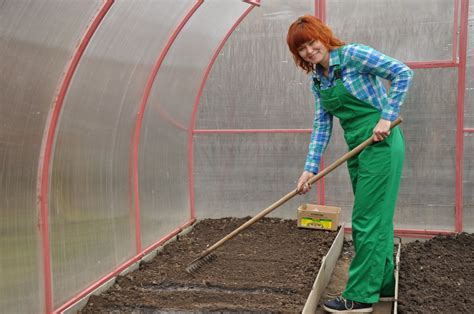 Как правильно выращивать овощи в теплице