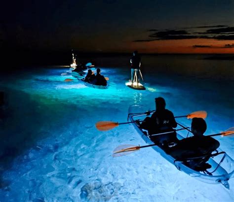 Transparent Kayak Glow Night Tour To Do In Istria