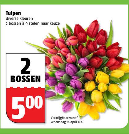 Tulpen Folder Aanbieding Bij Poiesz Details