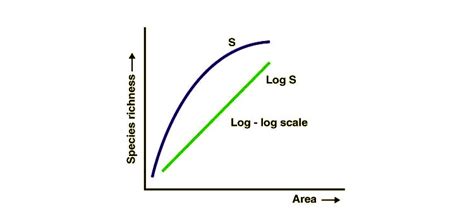 Biodiversity Pattern In Species Latitudinal Gradient And Species Area Relationship