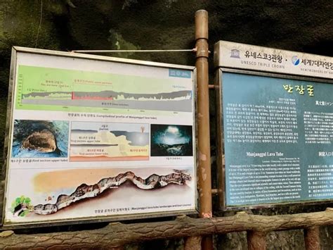 Exploring Manjanggul Cave | Jeju Island Lava Tube Complete Guide