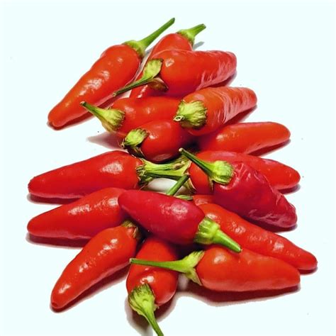 Hawaiian Seeds Etsy