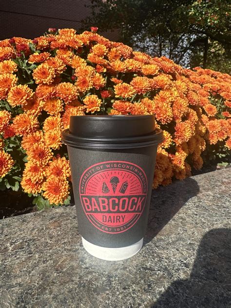 The arriva maastricht station has a secret coffee shop 26