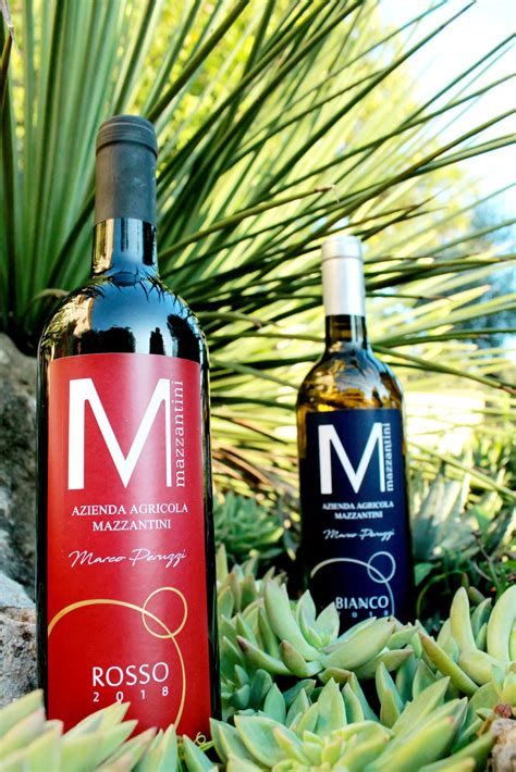Vino Rosso Ciliegiolo Igt Vendita Online Azienda Mazzantini