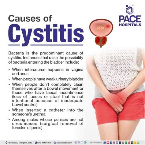 cystitis types symptoms  prevention treatment