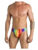 Buy Gary Majdell Sport Mens Print Contour Pouch Bikini Swimsuit Online Topofstyle