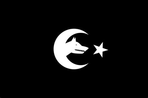 Bayrak Tasarımları Bayrak Tarihi Kişilikler Bozkurt