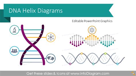 How To Draw Dna In Powerpoint Aesthetic Drawing