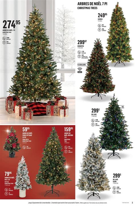 Business experts explain the sudden success of canac st romuald 11