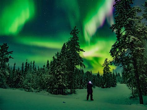 Winter Auroras in the Northwest Territories - Sarracini Travel