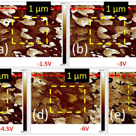 Ferroelectric Domain Switching Observation Domain Switching Under