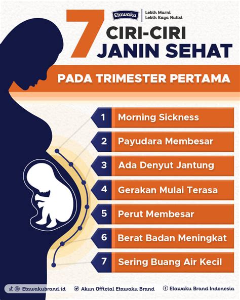 Kenali 7 Ciri Ciri Janin Sehat Pada Trimester Pertama Tanpa Usg