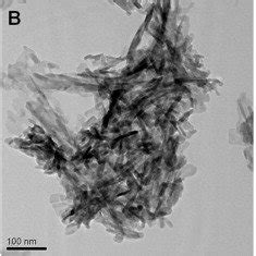 Hrtem Micrographs Of Synthesized Ha Nanoparticles A Nhs B Nhr And