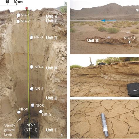 Grain Size Data And OSL Ages Of Flood Stages In The NR Section