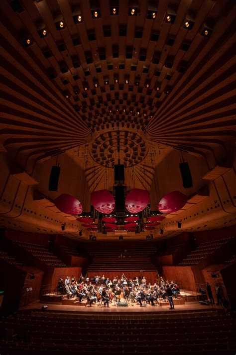 Sydney Opera House Reopens the Newly Renovated Concert Hall | ArchDaily