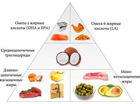 Жири в організмі: чи це завжди погано? | FitCurves