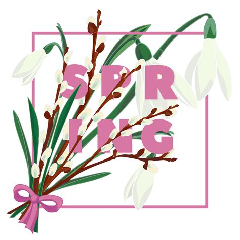 Spring Floral Background With Beautiful Snowdrop And Pussy Willow Flower 12803724 Vector Art At