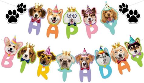 Group Dogs Party Hats Stock Illustrations, Cliparts and Royalty - Clip Art Library