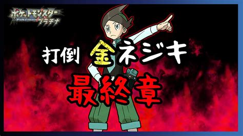 【金ネジキ討伐達成！】金ネジキ 炎の最終章 28連勝〜【ポケットモンスタープラチナ バトルフロンティア】 Youtube