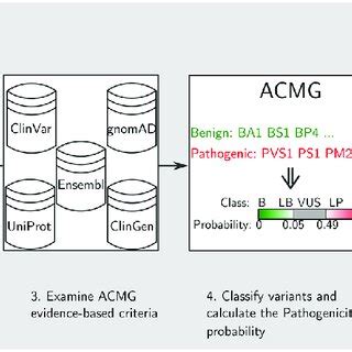 Overview Of Acmg Evidence Based Criteria Green Marks Show