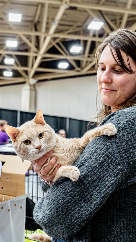 Humane Society of North Texas (@humanesocietyofnorthtexas) • Instagram