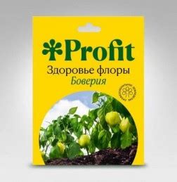 Каталог растений Осень 2023: купить семена и саженцы, луковицы ...