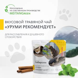 Кошка говорит, не нервничайте