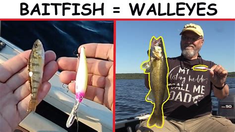 TROLLING CRANKBAITS FOR MID SUMMER WALLEYES YouTube